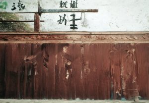 哈兰德：从足球新星到世界顶级前锋的辉煌之路分析